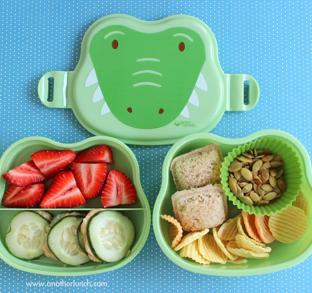 High Protein Lunches for Kids: Easy Lunchbox Ideas