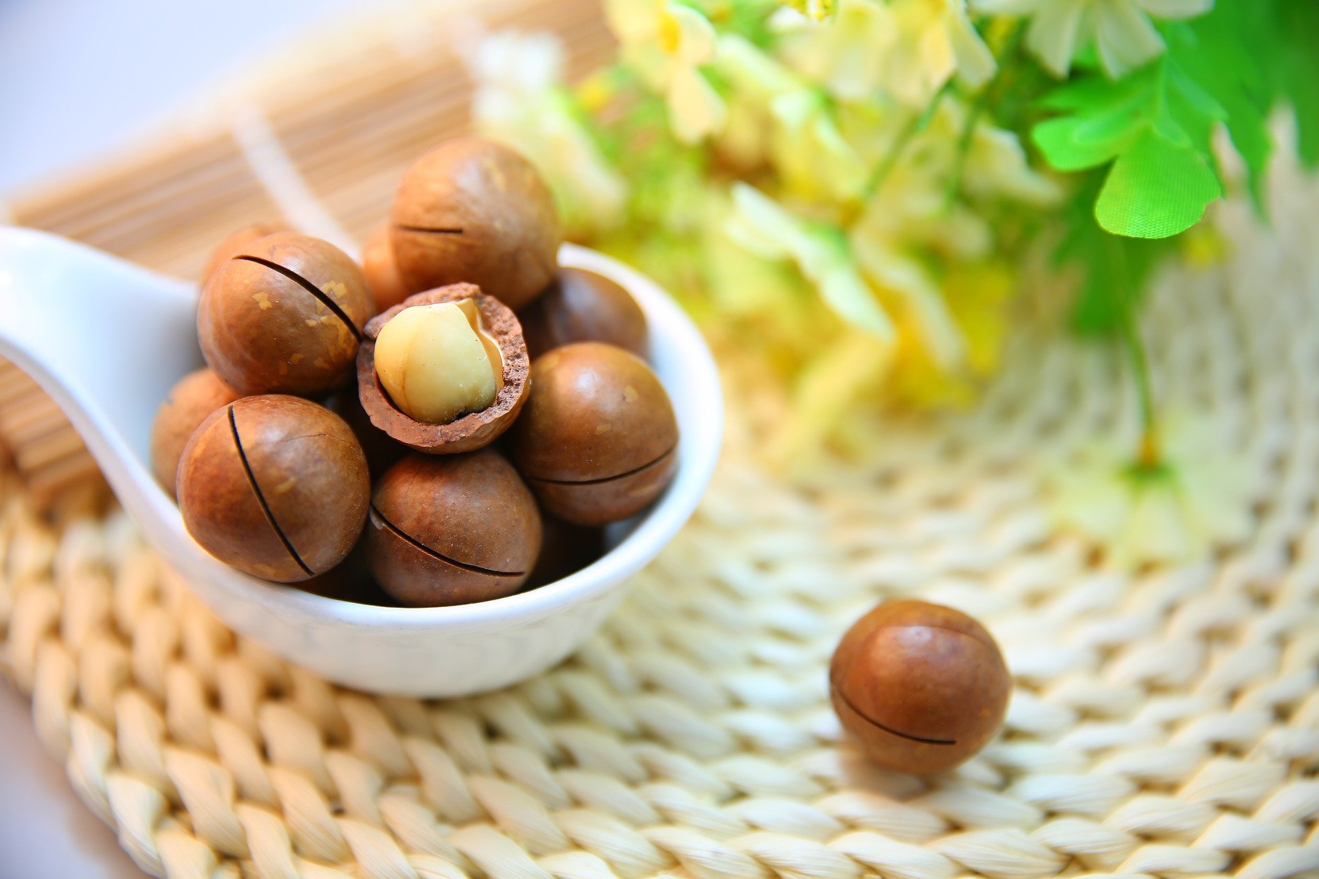 Macadamia nuts in a bowl with one cracked nut